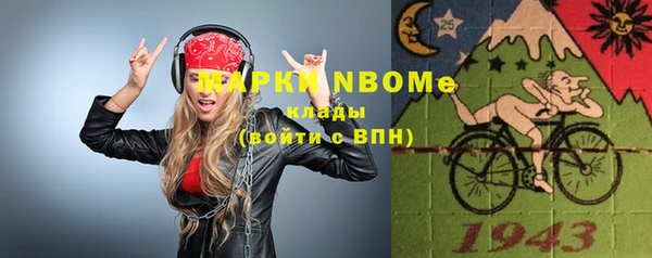 твердый Дмитровск
