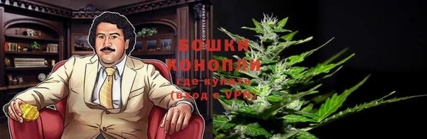 гашиш Дмитриев