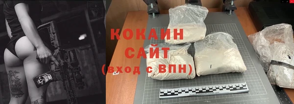 твердый Дмитровск