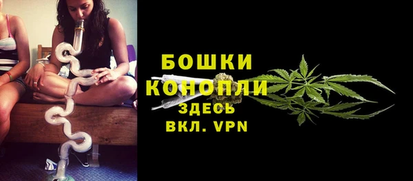 гидропоника Гусь-Хрустальный