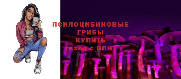 гашиш Дмитриев