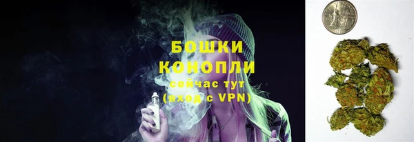 гашиш Дмитриев