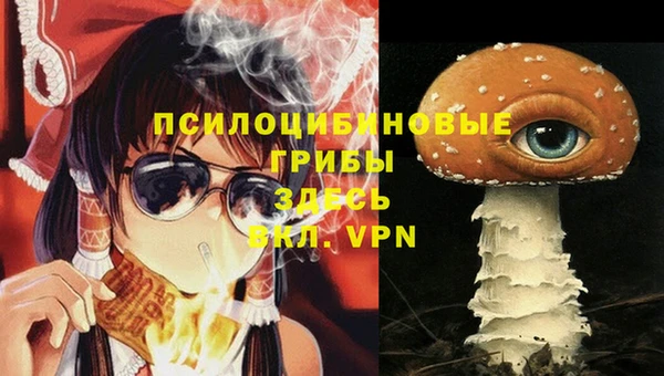 гашиш Дмитриев