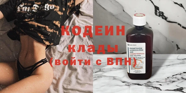 твердый Дмитровск