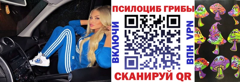 Галлюциногенные грибы MAGIC MUSHROOMS  МЕГА вход  Ковдор  где продают наркотики 